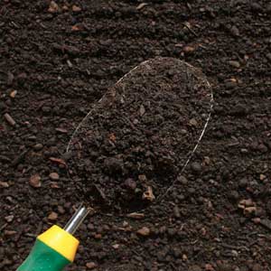 Top Soil in Brunswick